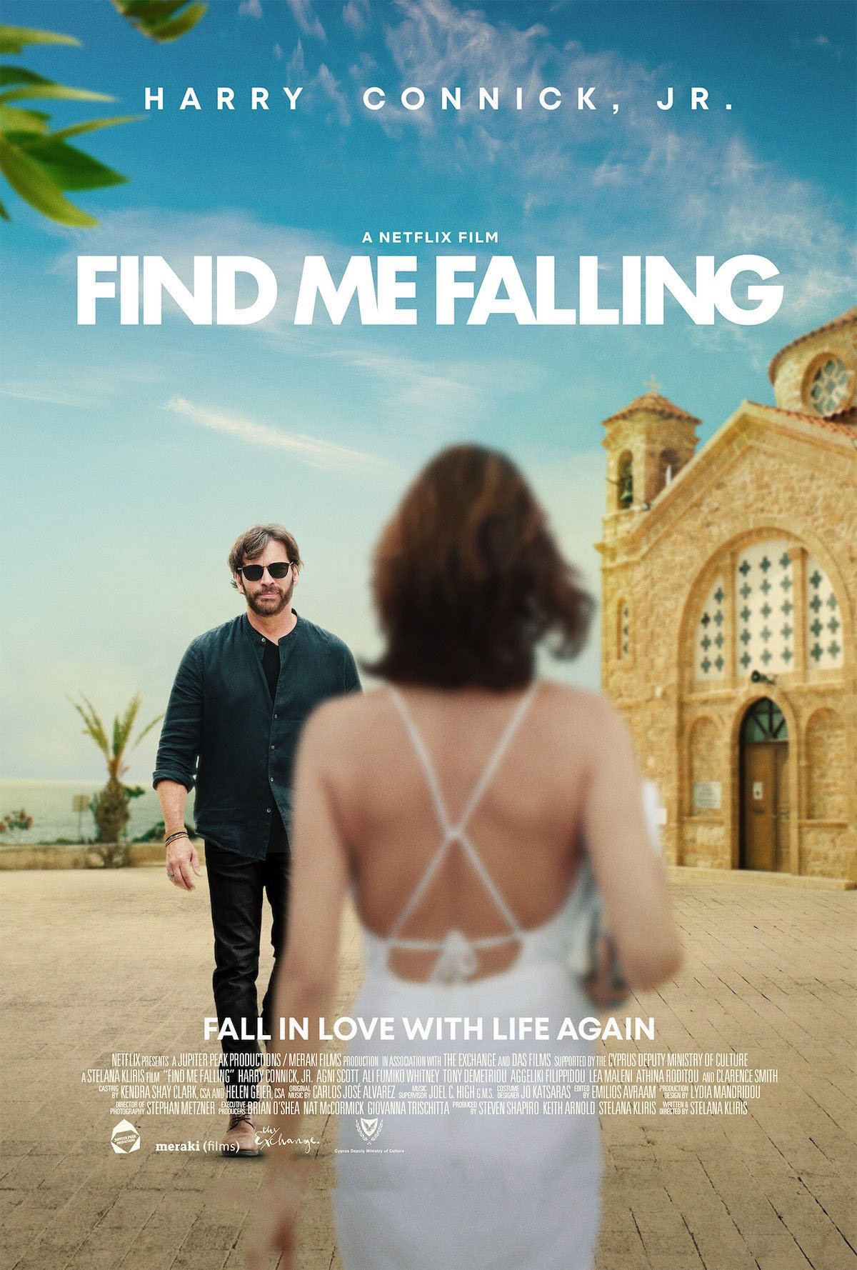 Al borde del abismo (Find Me Falling) 2024 [1080p] [Latino-Castellano-Ingles]
