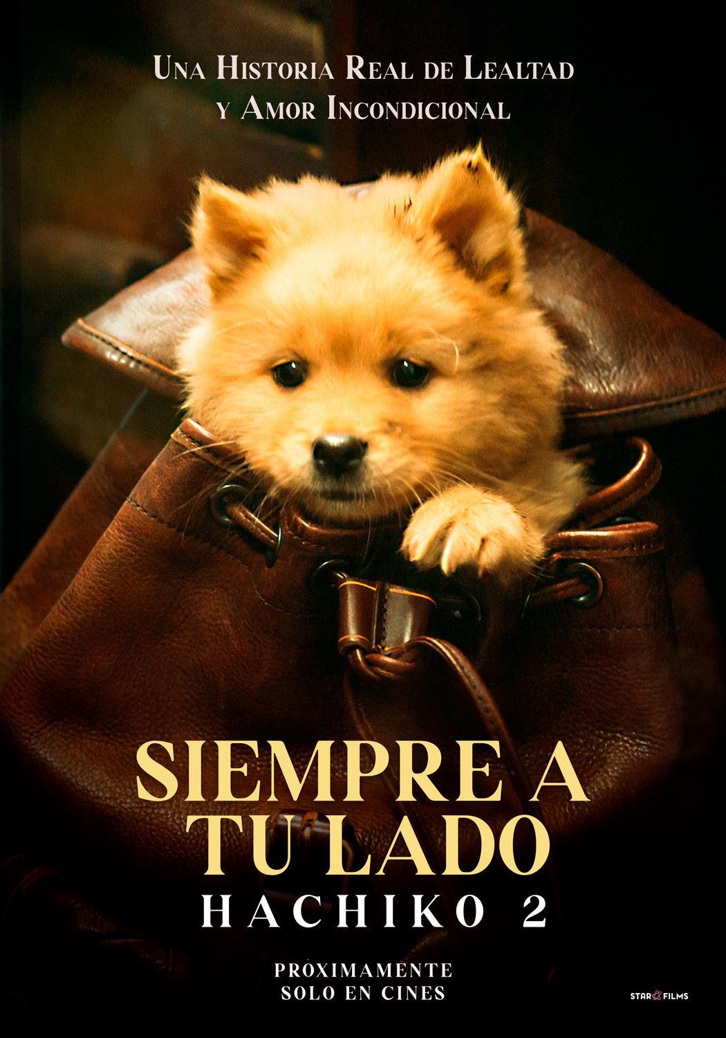 Hachiko 2: Siempre a tu Lado (2023) [1080p] WEB-DL [Latino] Descargar