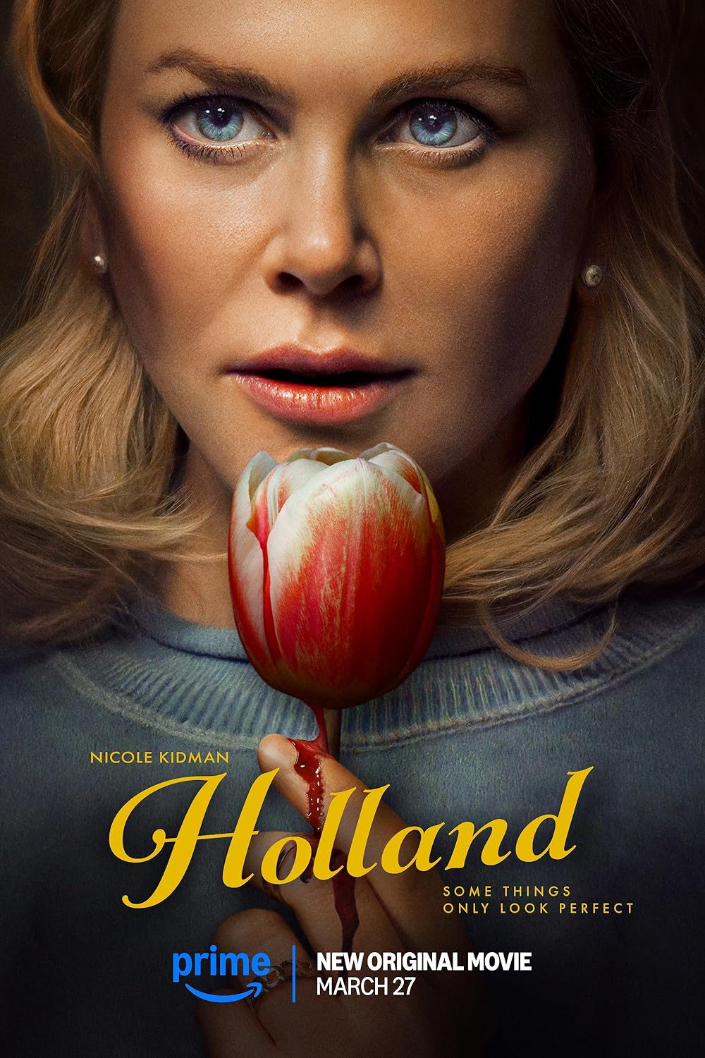 Holland (2025) [1080p] [Latino-Castellano-Ingles]
