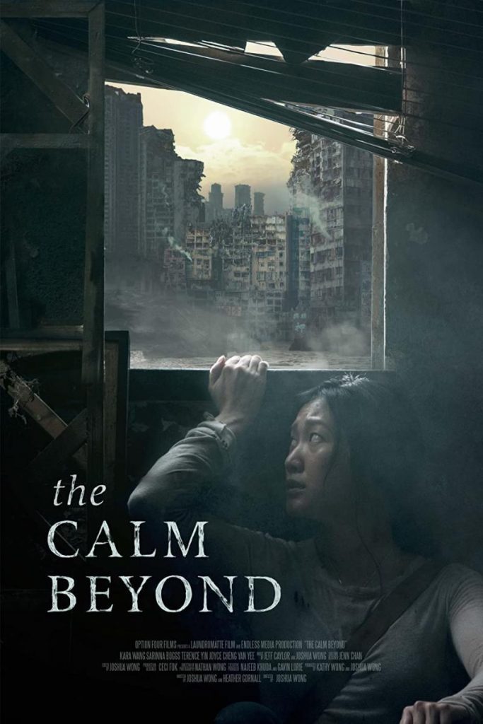 La calma que viene después – The Calm Beyond 2020 [1080p] WEB-DL [Latino/Ingles] descargar